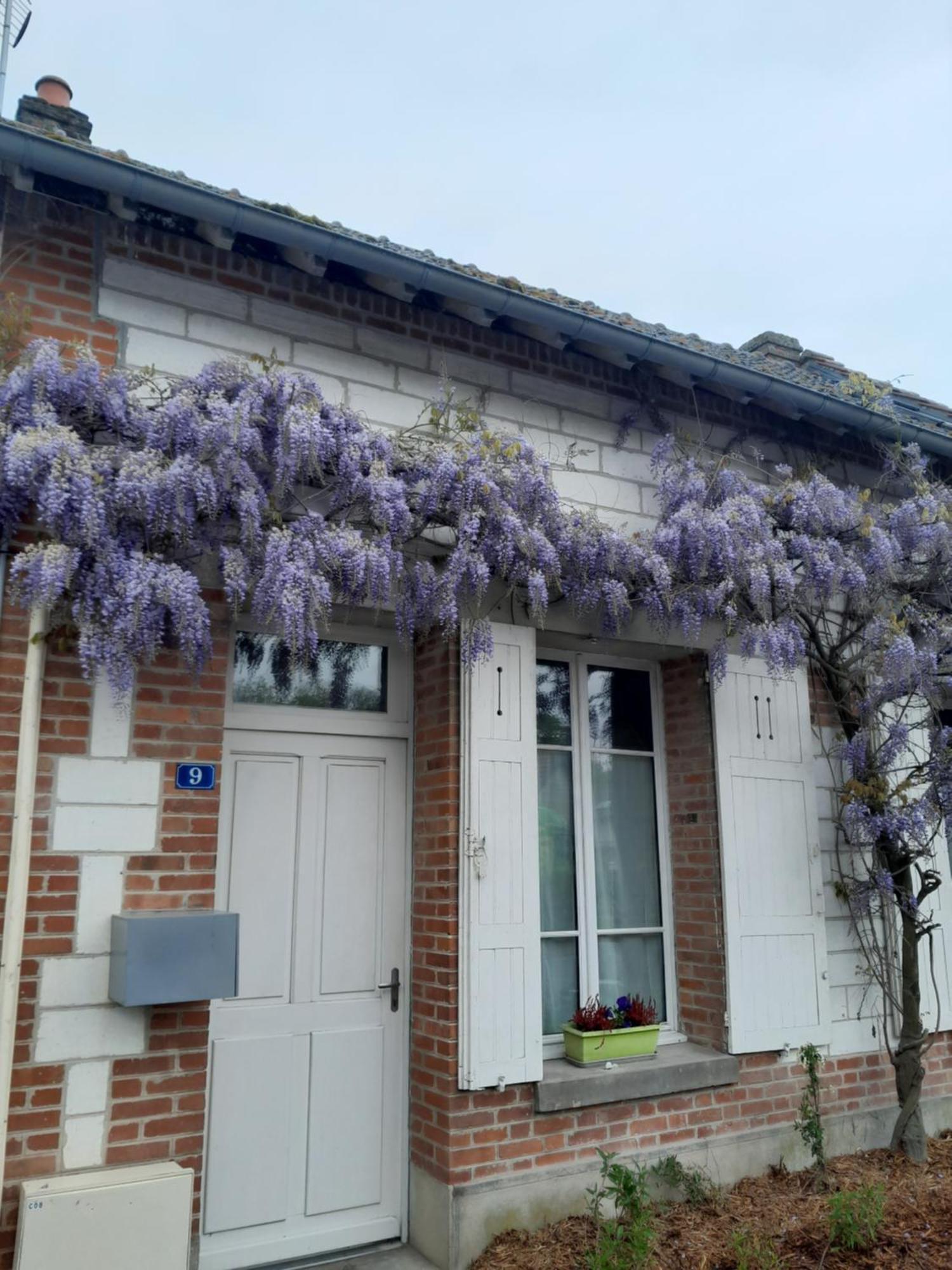 Gite, Maison A La Campagne Ardennes, Aisne,Marne Le Thour Oda fotoğraf